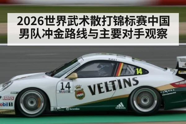 2026世界武术散打锦标赛中国男队冲金路线与主要对手观察